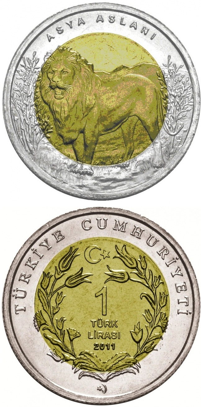 Image of 1 Lira coin - Asiatic Lion | Turkey 2011.  The German silver (CuNiZn) coin is of UNC quality.