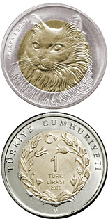 1 Lira coin Turkish Angora Cat  | Turkey 2011