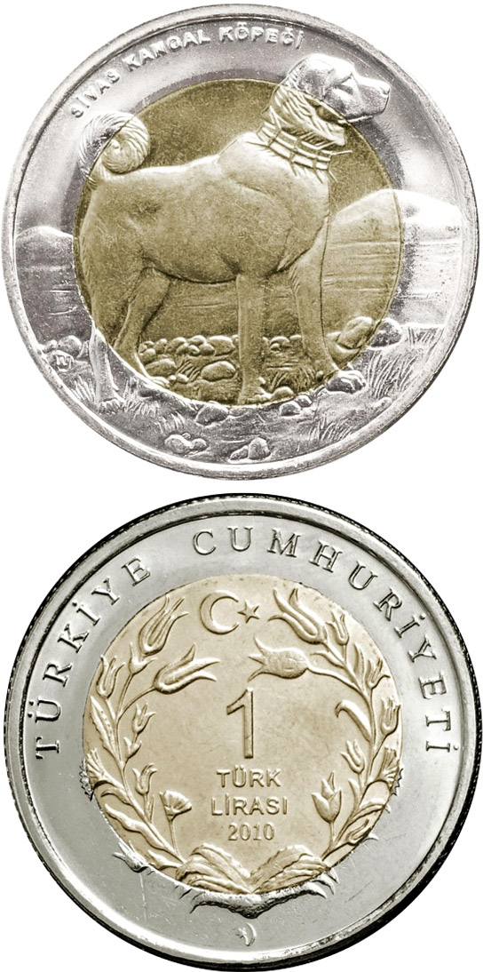 Image of 1 Lira coin - Kangal Dog  | Turkey 2011.  The German silver (CuNiZn) coin is of UNC quality.