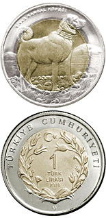 1 Lira coin Kangal Dog  | Turkey 2011