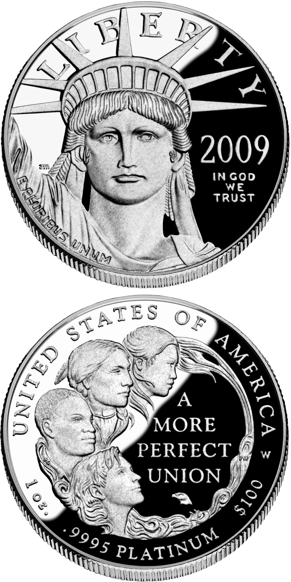 Image of 100 dollars coin - American Eagle Platinum One Ounce Proof Coin | USA 2009