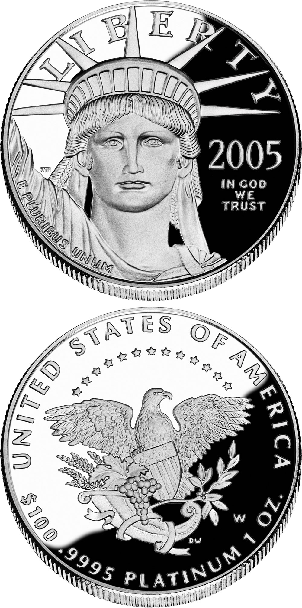 Image of 100 dollars coin - American Eagle Platinum One Ounce Proof Coin | USA 2005