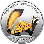 10 hryvnia  coin The Marbled Polecat | Ukraine 2017