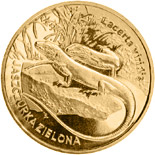 Image of 2 zloty coin - European green lizard | Poland 2009.  The Nordic gold (CuZnAl) coin is of UNC quality.
