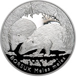 Image of 20 zloty coin - European Badger | Poland 2011.  The Silver coin is of Proof quality.